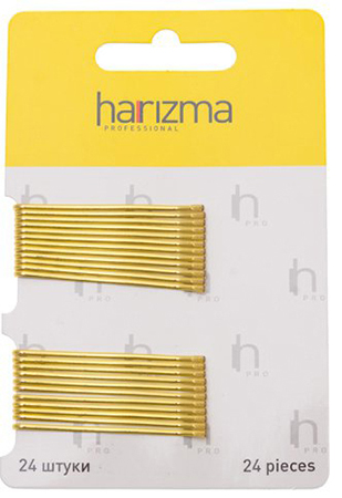 h10535-19 Harizma Невидимки 50 мм прямые 24 шт золото