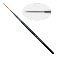 6666666666666666666666