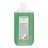 FarmaVita, Шампунь восстанавливающий № 04, Back Bar Revitalizing Shampoo, 5000  мл
