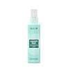 Smooth Hair Thermal Protection Spray 100ml